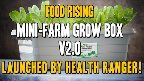 Image: Food Rising Mini-Farm Grow Box V2.0 launched by Health Ranger! (Audio)