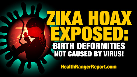 Image: Zika HOAX exposed: Birth deformities not caused by virus! (Audio)