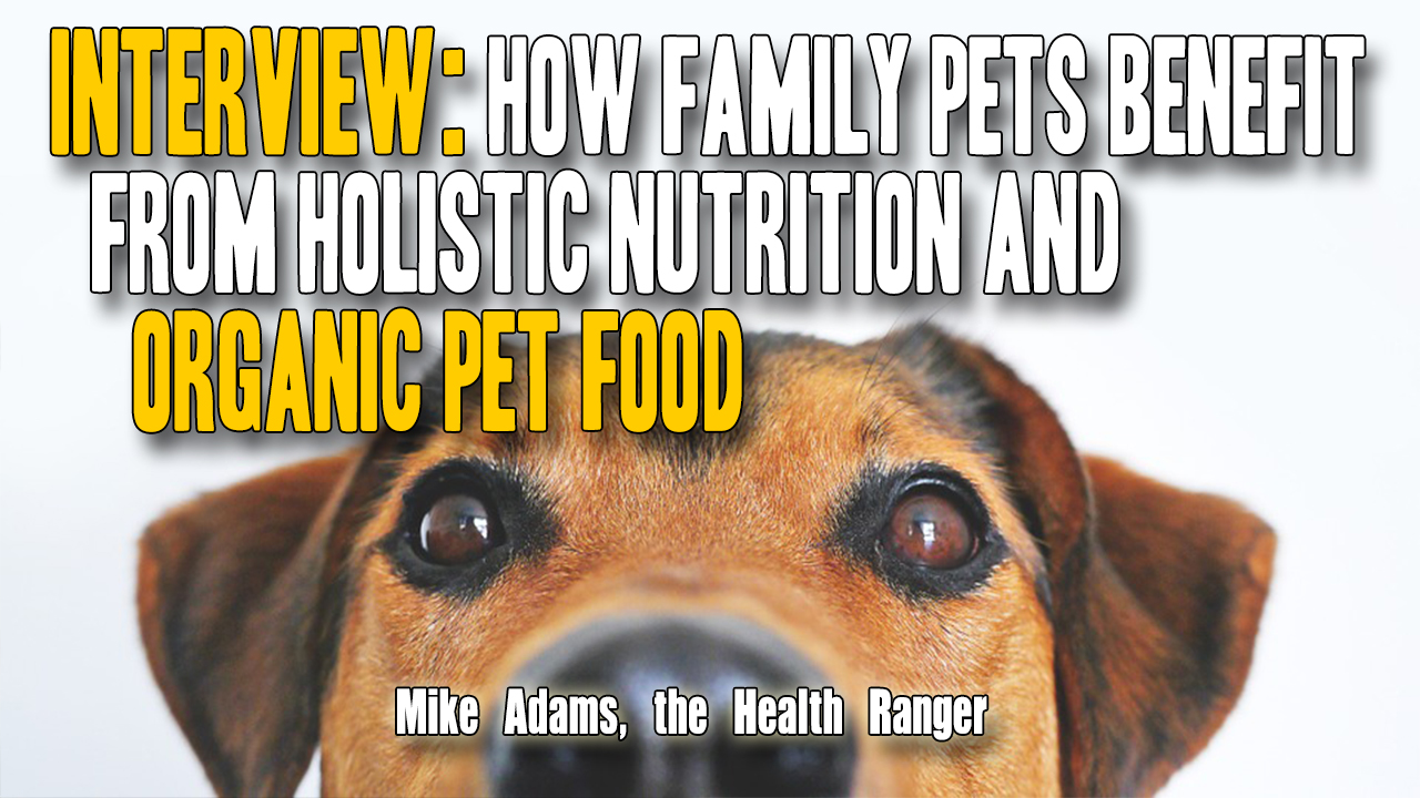 Image: How family pets benefit from holistic nutrition and organic pet food (Video)