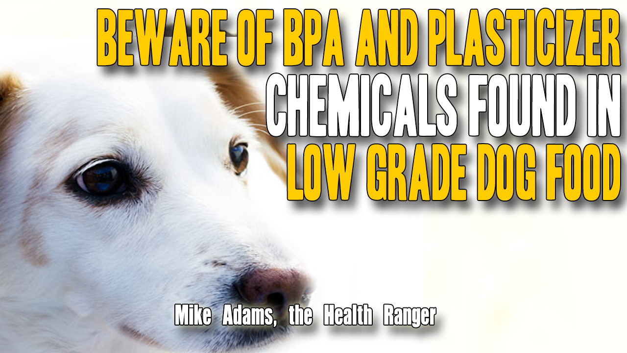 Image: Beware of BPA and plasticizer chemicals found in low grade dog food (Video)