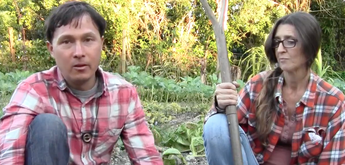 Image: Family Transforms Weedy 1.5 Acre Lot into Fruitful Organic Farm (Video)