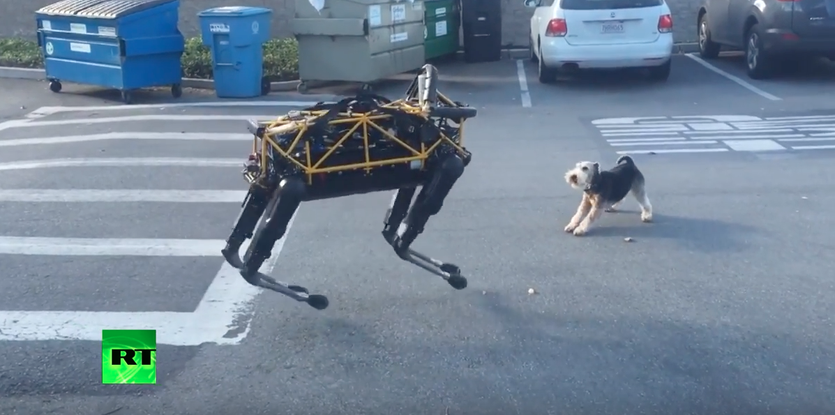 Image: Animal vs Robot: Terrier shows Google robo-dog who’s the boss (Video)