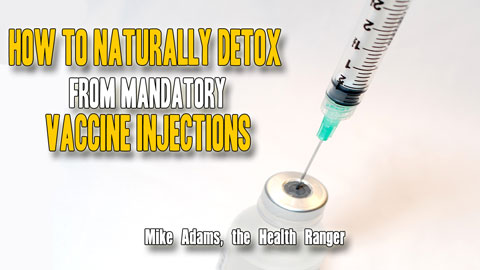 Image: How to naturally detox from mandatory vaccine injections (Audio)