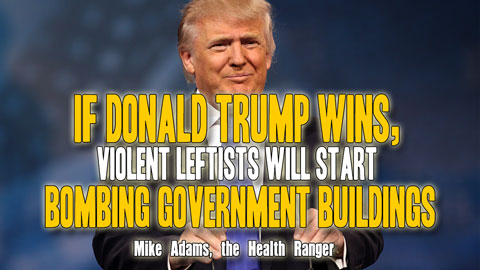 Image: If Donald Trump wins, violent leftists will start bombing government buildings (Audio)