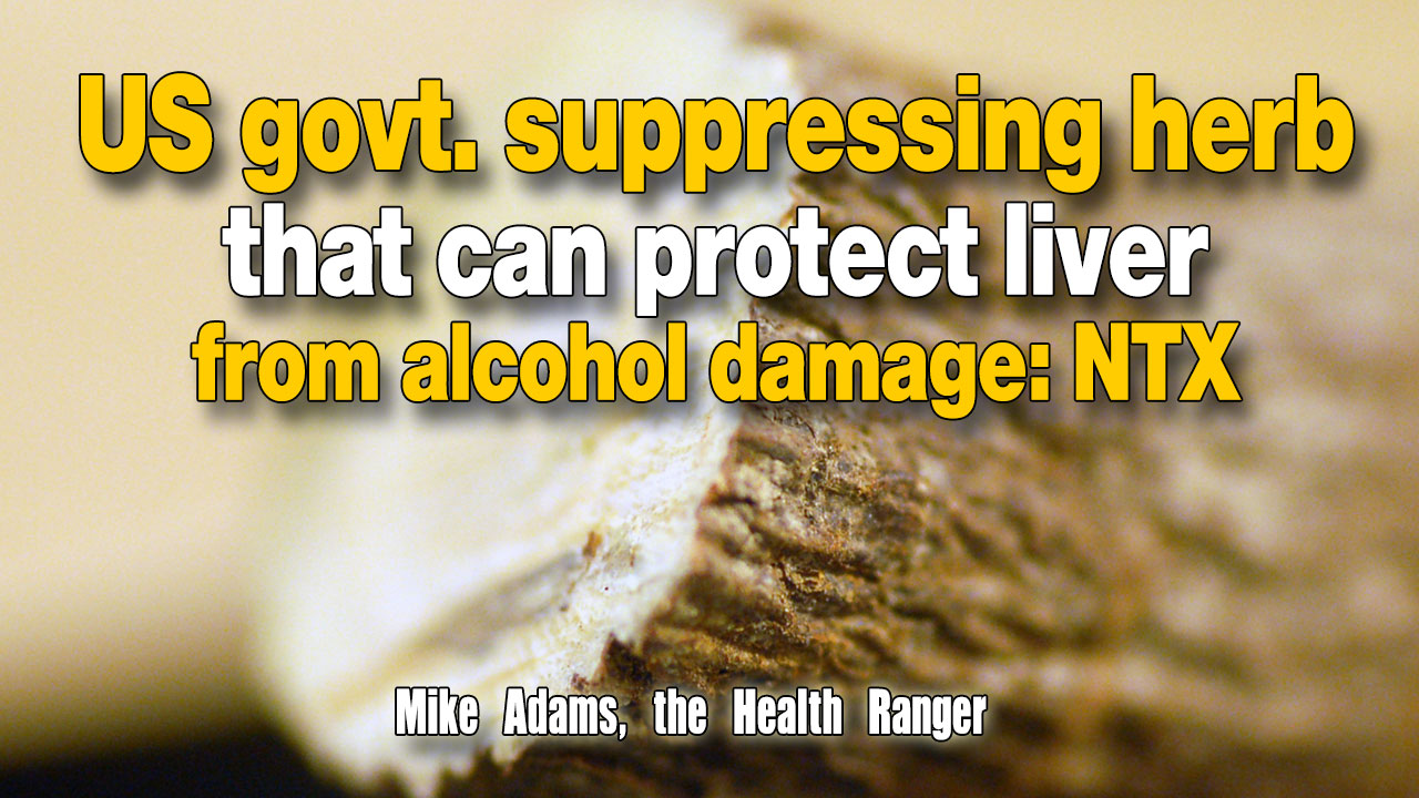 Image: US govt. suppressing herb that can protect liver from alcohol damage: NTX (Video)