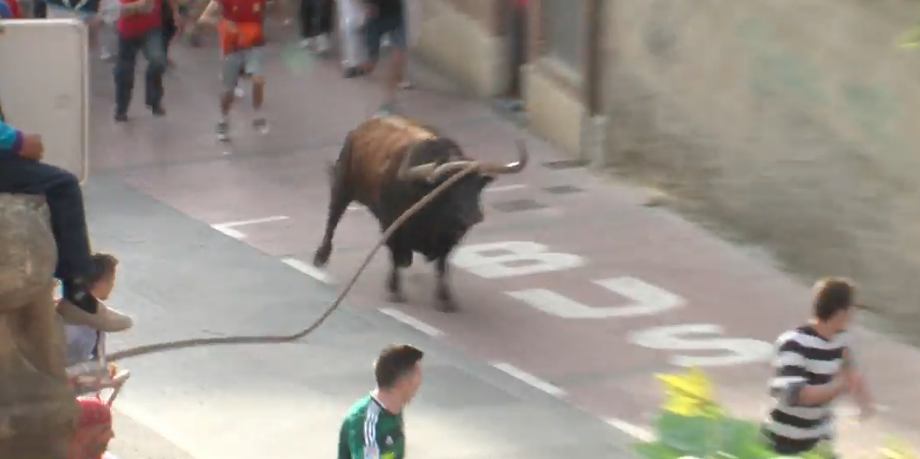 Image: 3 injured as bull escapes Spanish festival (Video)