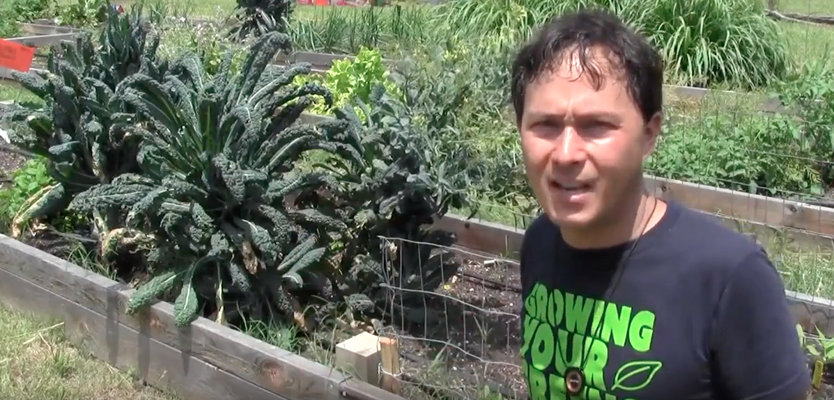 Image: Elementary school farm teaches kids and feeds the community (Video)