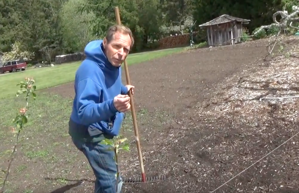 Image: How to plant a back to Eden garden (Video)