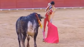 spanish matador