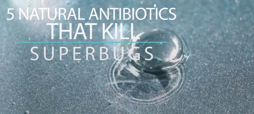 Image: 5 Natural Antibiotics that Kill Superbugs (Video)