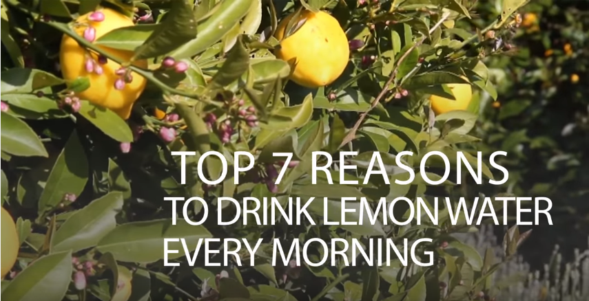 Image: Top 7 Reasons to Drink Lemon Water Every Morning (Video)