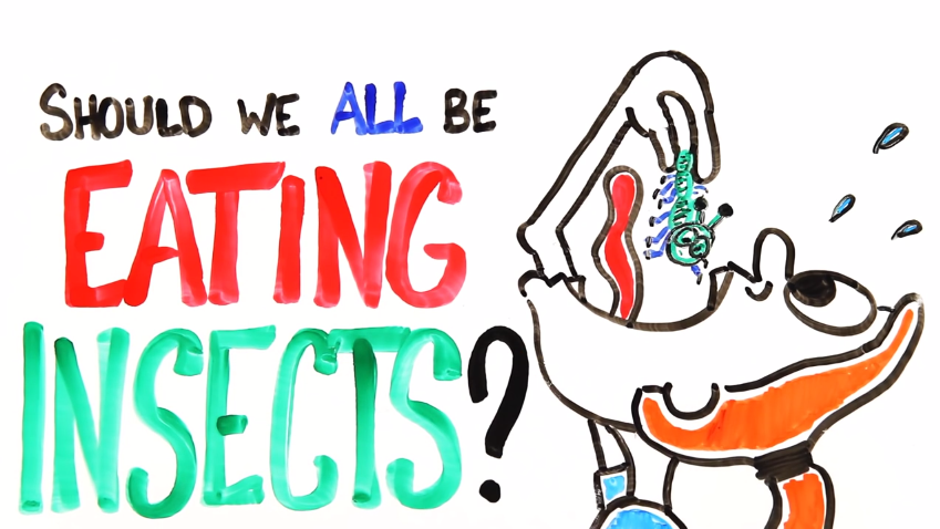 Image: Should We All Be Eating Insects? (Video)