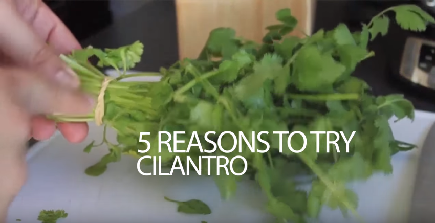 Image: 5 Reasons to Try Cilantro (Video)