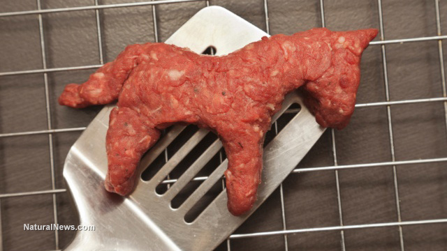 Image: If The Meat Industry Was Honest – Honest Ads (Video)