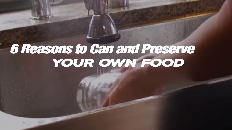 Image: 6 Reasons to Can and Preserve Your Own Food (Video)