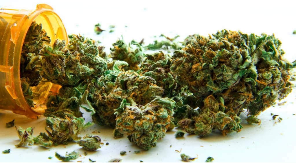 Image: The CBD & Marijuana Secret is Out: CNN Report by Dr. Sanjay Gupta (Video)