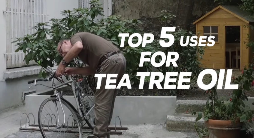 Image: Top 5 Uses For Tea Tree Oil (Video)