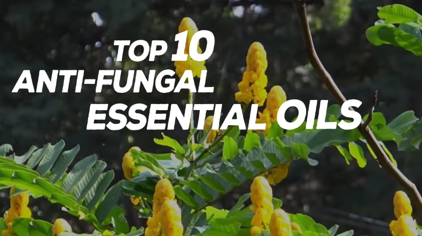 Image: Top 10 Anti-Fungal Essential Oils (Video)