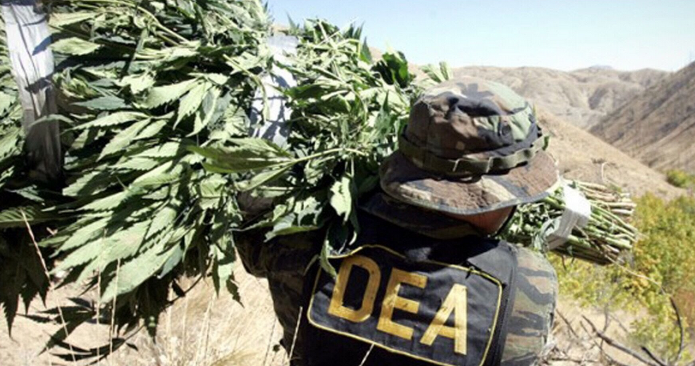 Image: Is the DEA criminalizing CBD oil in crazy power grab? (Video)