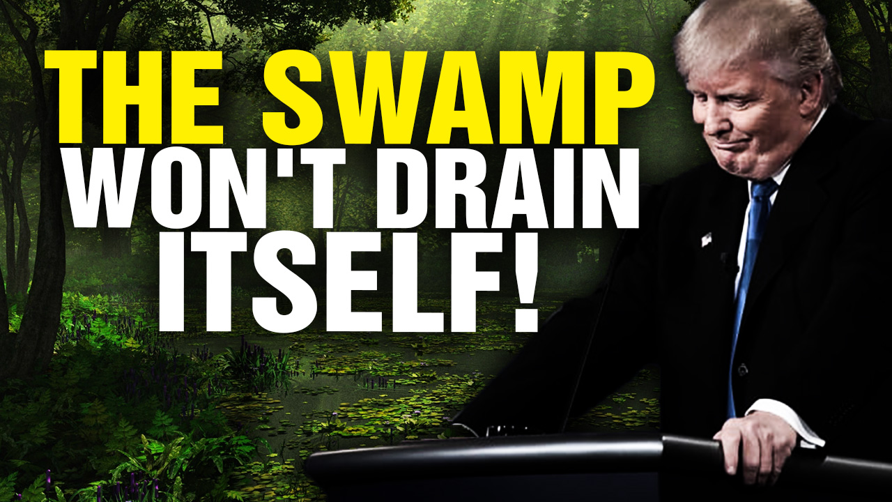 Image: Hey Trump, the SWAMP Will Never Drain Itself! (Video)
