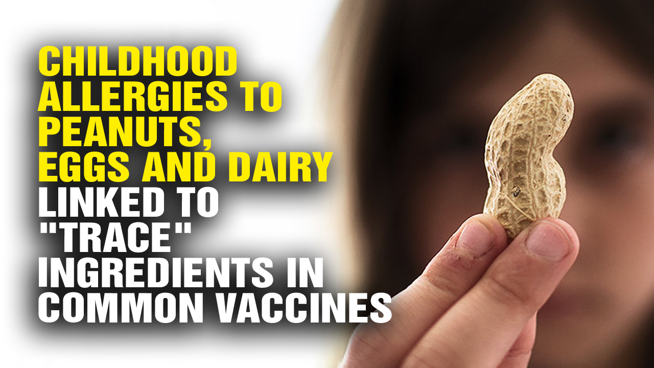 Image: Severe Childhood Allergies to Peanuts, Eggs and Dairy Directly Linked To “Trace” Ingredients in Common Vaccines (Video)