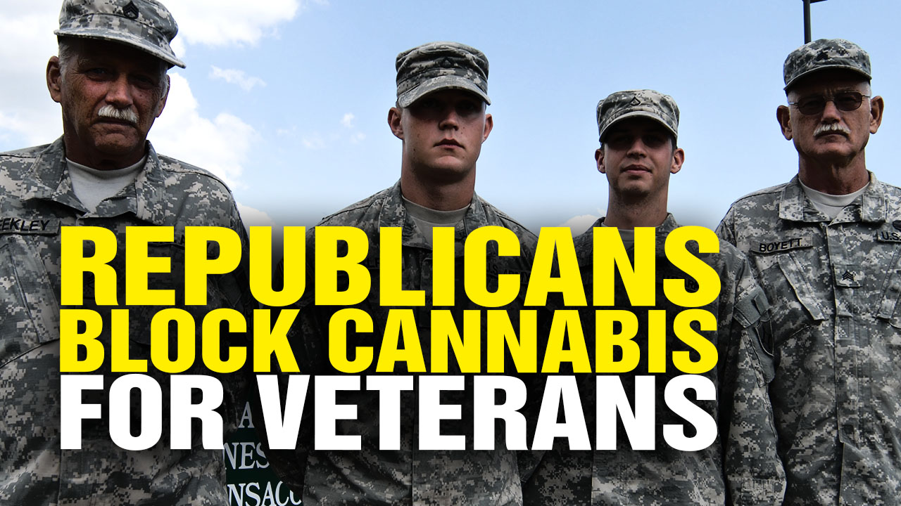 Image: Republicans BLOCK Medical Cannabis for Veterans (Video)