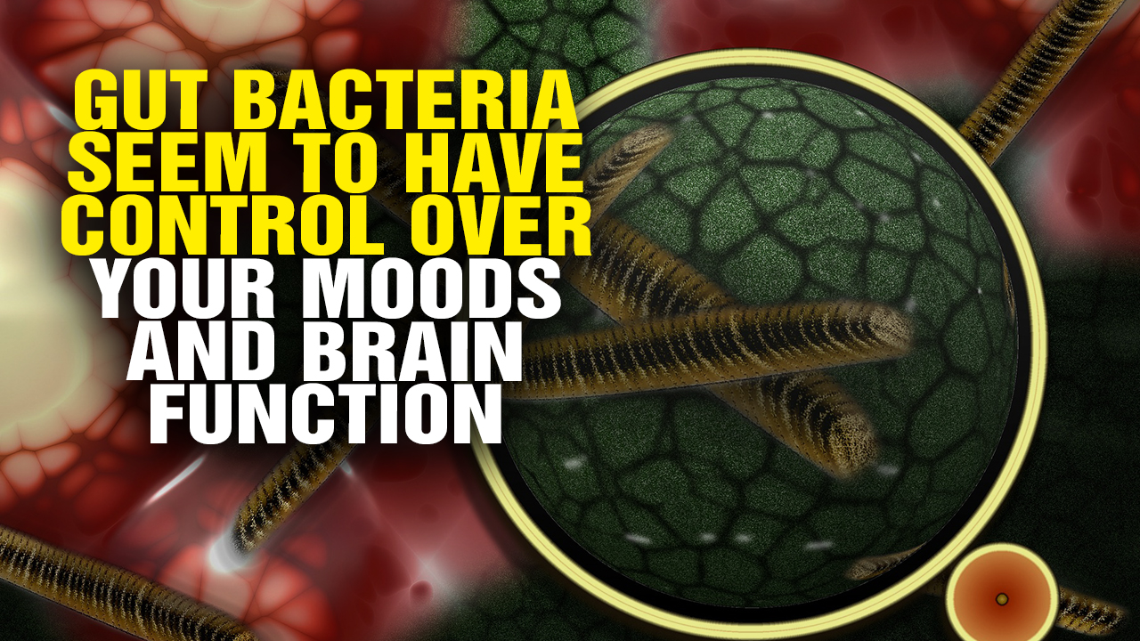 Image: Scientists Stunned: Gut Bacteria May Control Your Moods and Brain Function (Video)