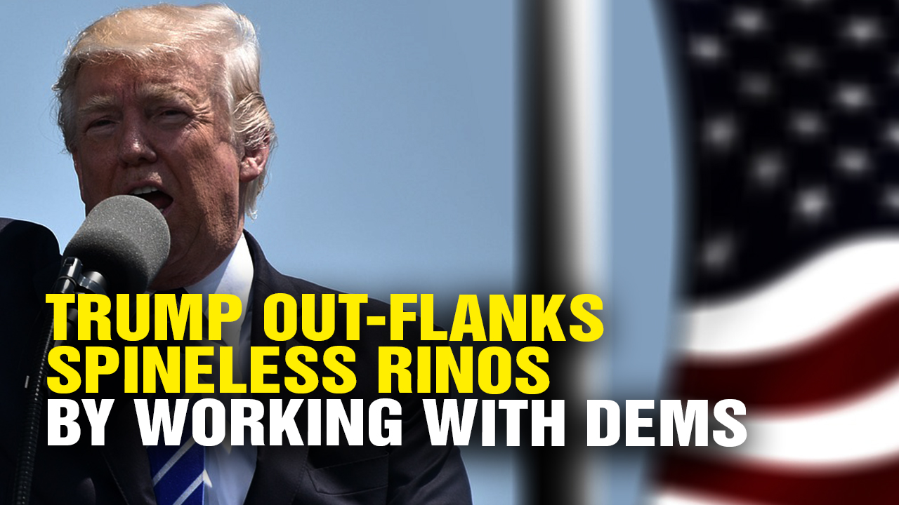 Image: Trump Out-Flanks Spineless RINOs by Working with Dems (Video)