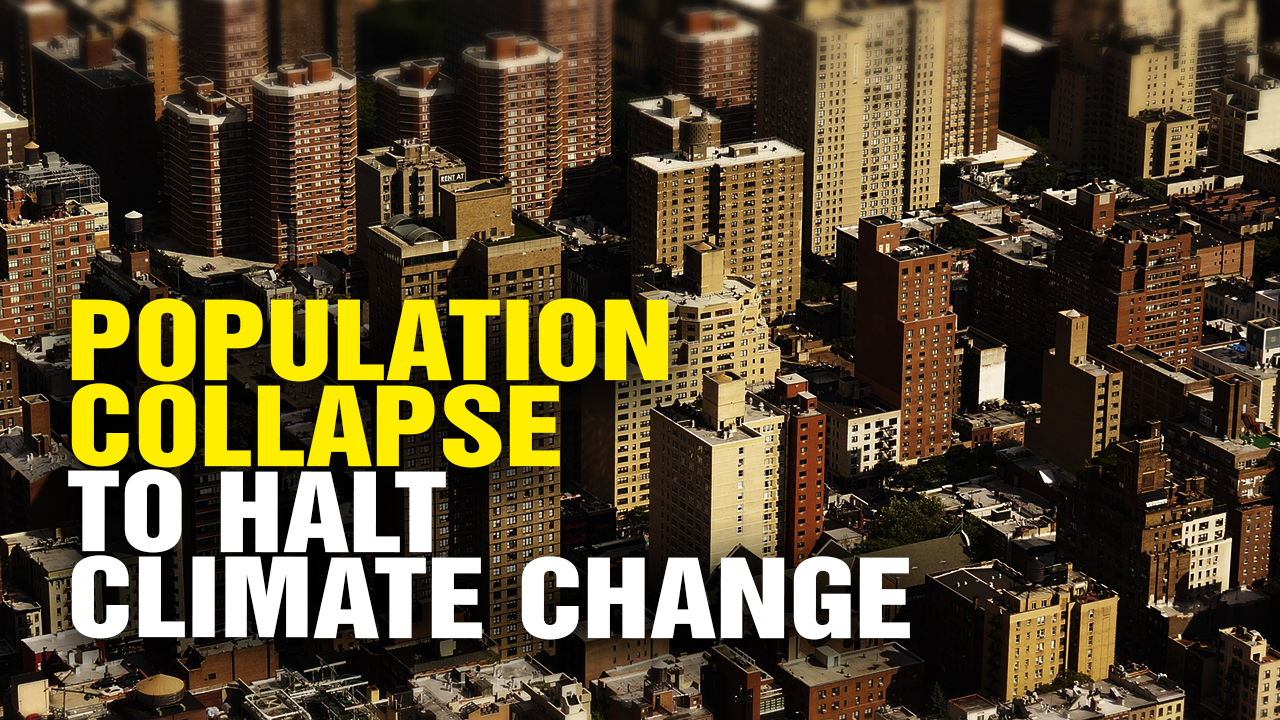 Image: Population COLLAPSE Will Occur Long Before “Climate Change” Is a Real Problem (Video)