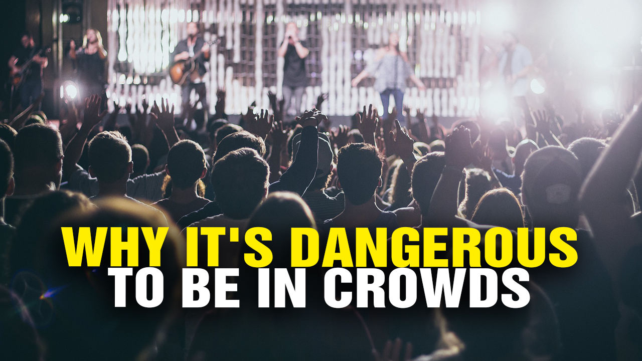 Image: Why It’s Dangerous to Be in CROWDS (Video)