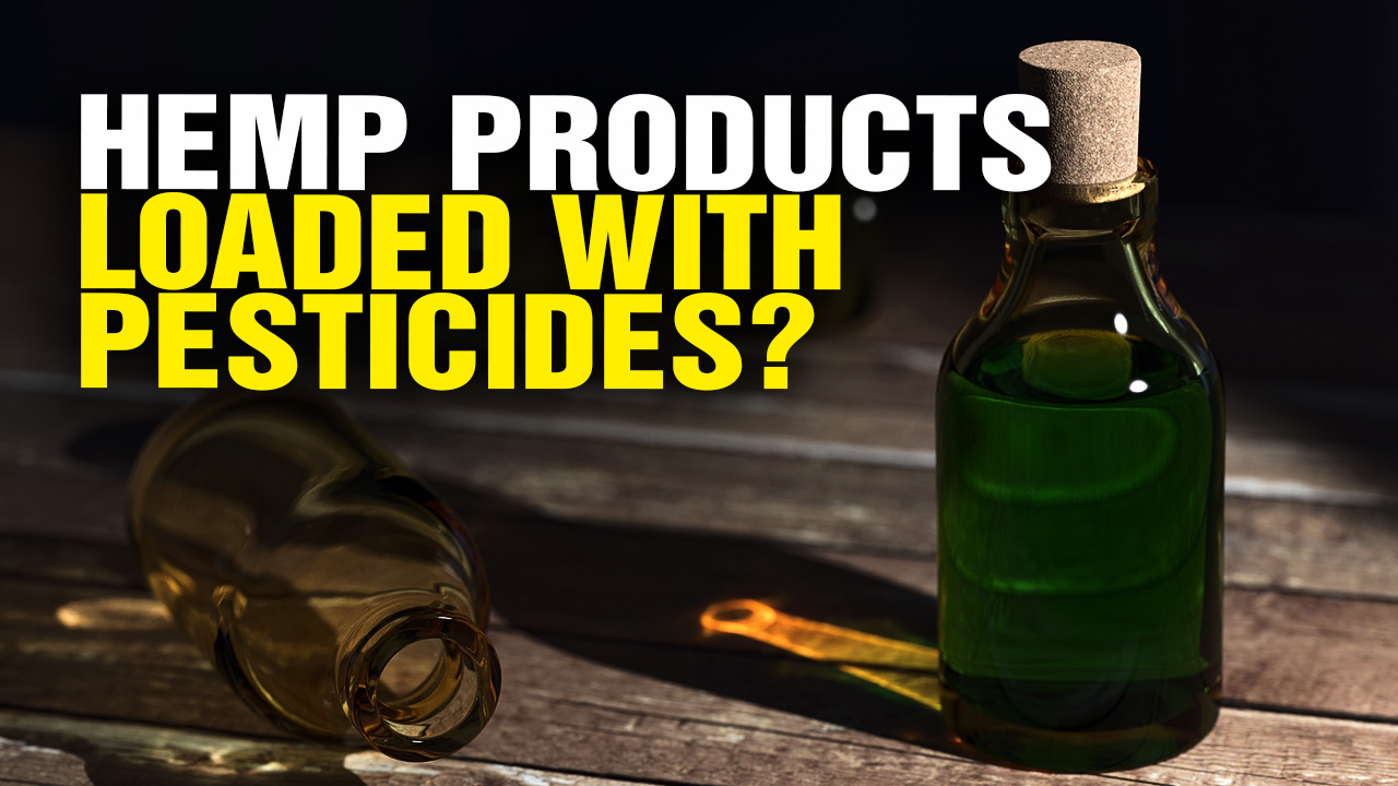 Image: Hemp Products LOADED with Pesticides? (Video)
