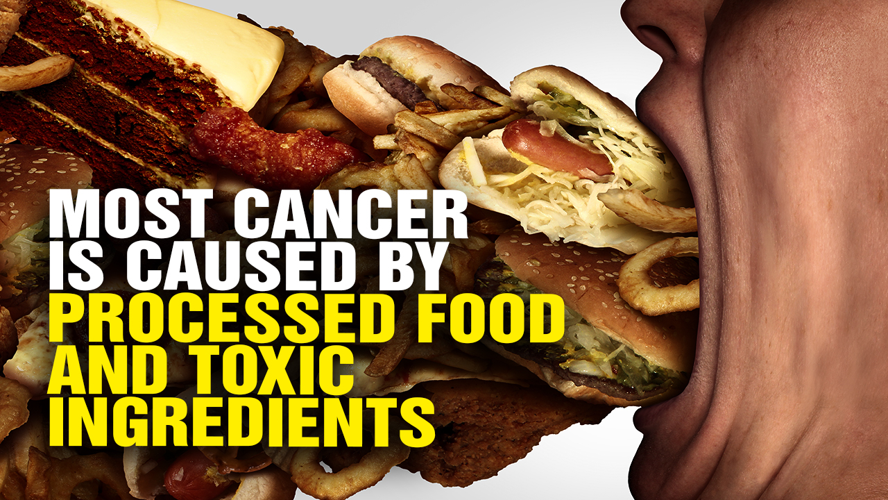 Image: Most Cancer Is Caused by Processed Food and Toxic Ingredients, New Study Confirms (Video)
