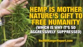 Hemp-Mother-Natures-Gift-Free-Humanity-480 (2)