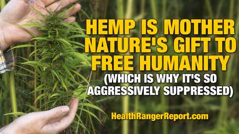 Image: Hemp is Mother Nature’s gift to free humanity (which is why it’s so aggressively suppressed) (Audio)