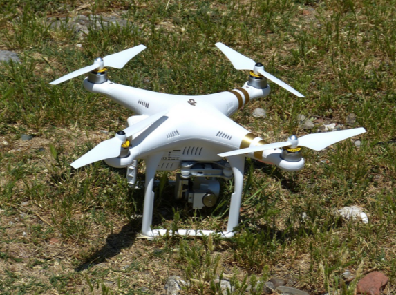 Image: Dutch police train eagles to take out drones in midair