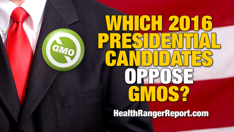 Image: Which 2016 presidential candidates oppose GMOs? (Audio)