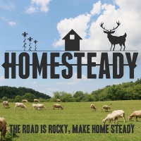Image: Honey, Bees, and Should a Homesteading Family Try Beekeeping? (Audio)