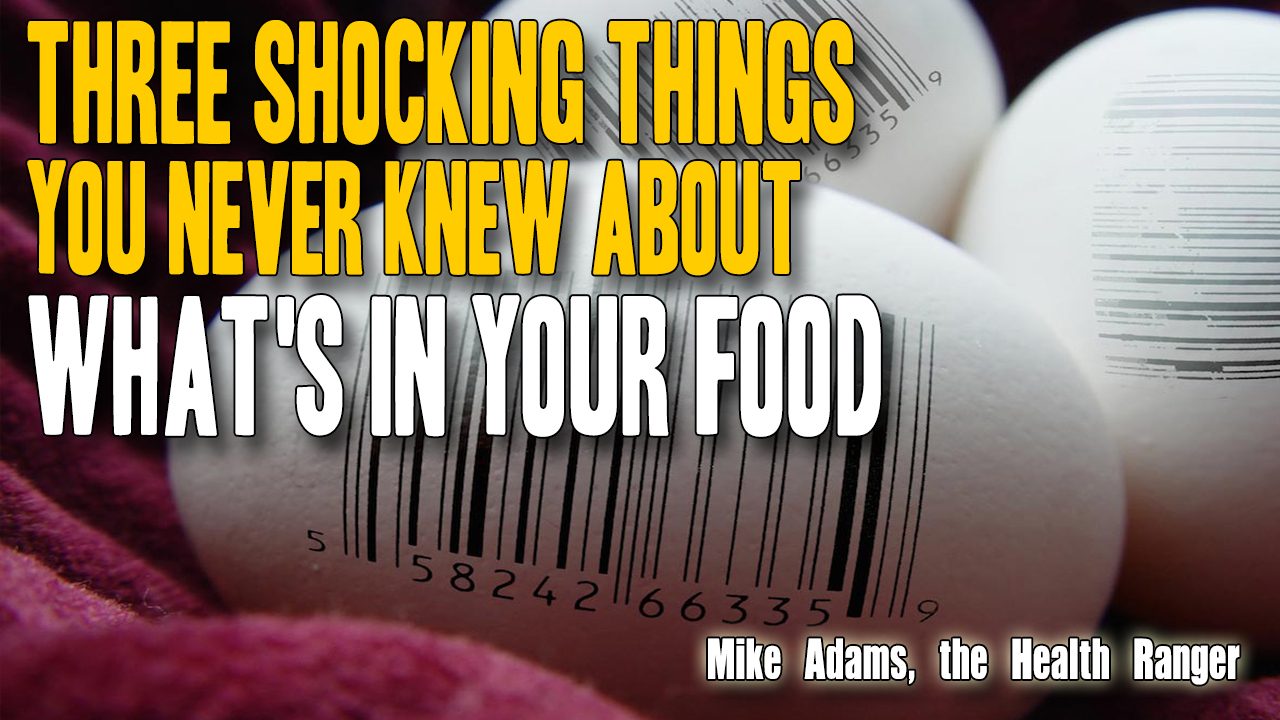 Image: Three shocking ingredients hidden in your food (Audio)