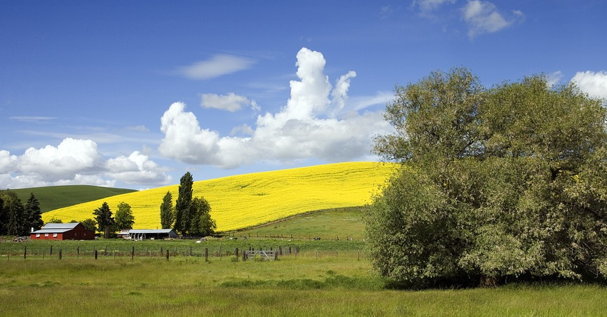 Image: The Old Farmer’s Almanac: Guiding Us for Centuries (Audio)