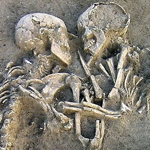 Image: Cosmic Perspective News |Humanity’s Apparent Death Wish With Terence McKenna, Dr. Dennis McKenna (Audio)