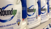 roundup