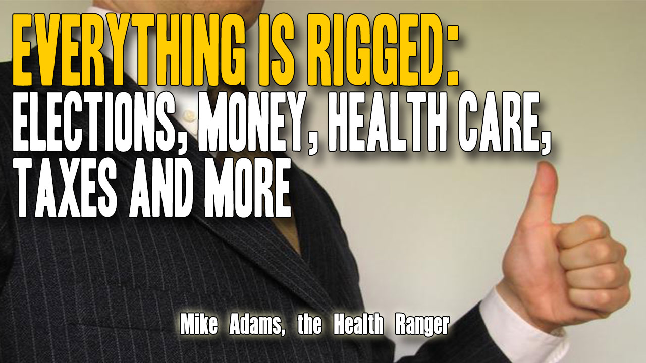 Image: EVERYTHING is rigged: Elections, money, health care, taxes and more (Audio)