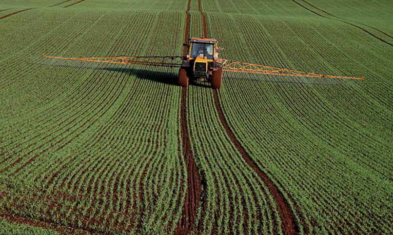 Image: $80,000 on half an acre farming vegetables – profitable mini-farming with Curtis Stone (Video)