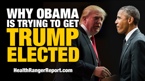 Image: Obama is trying to get TRUMP elected!