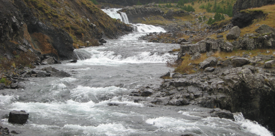 Image: Student scientists determine that it’s impossible to literally cry a river (Audio)