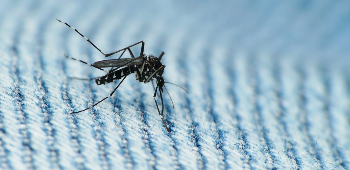 Image: First recorded US Zika death & prepper events (Audio)