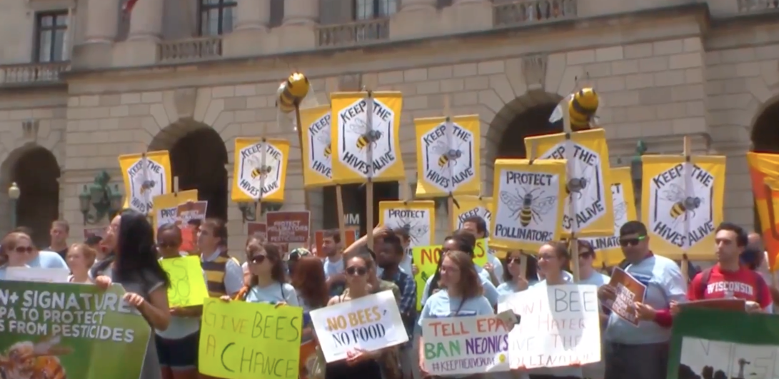 Image: Beekeepers bring 2.6 MILLION dead bees to EPA’s DC doorstep (Video)