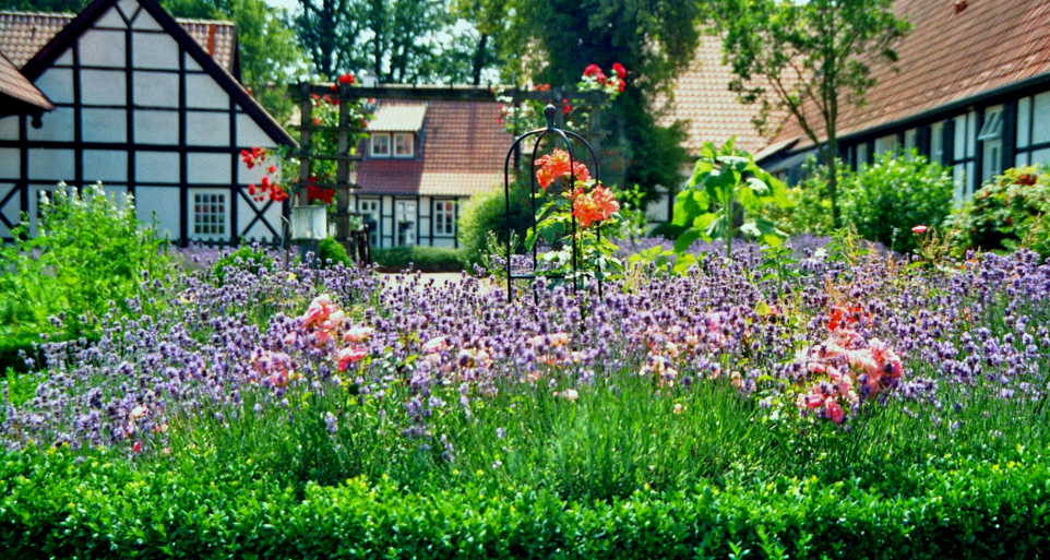 Image: Planting Q&A – Back to Eden garden (Video)