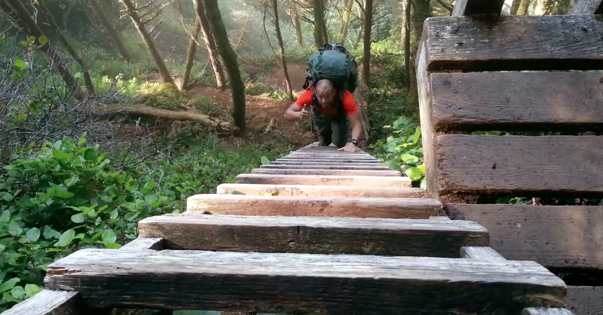 Image: Survival psychology: alone in the woods (Video)