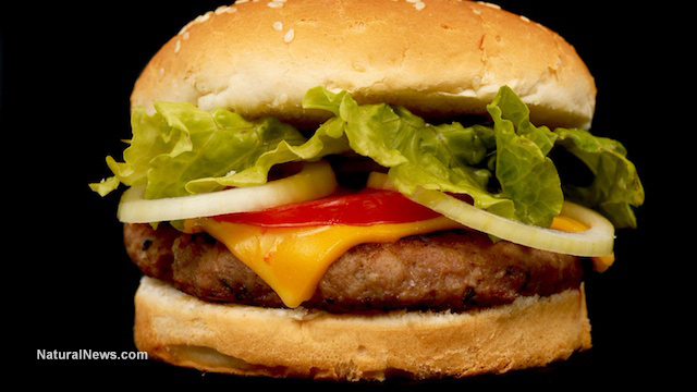 Image: What is Really in Your Burger and Meat In General? (Video)